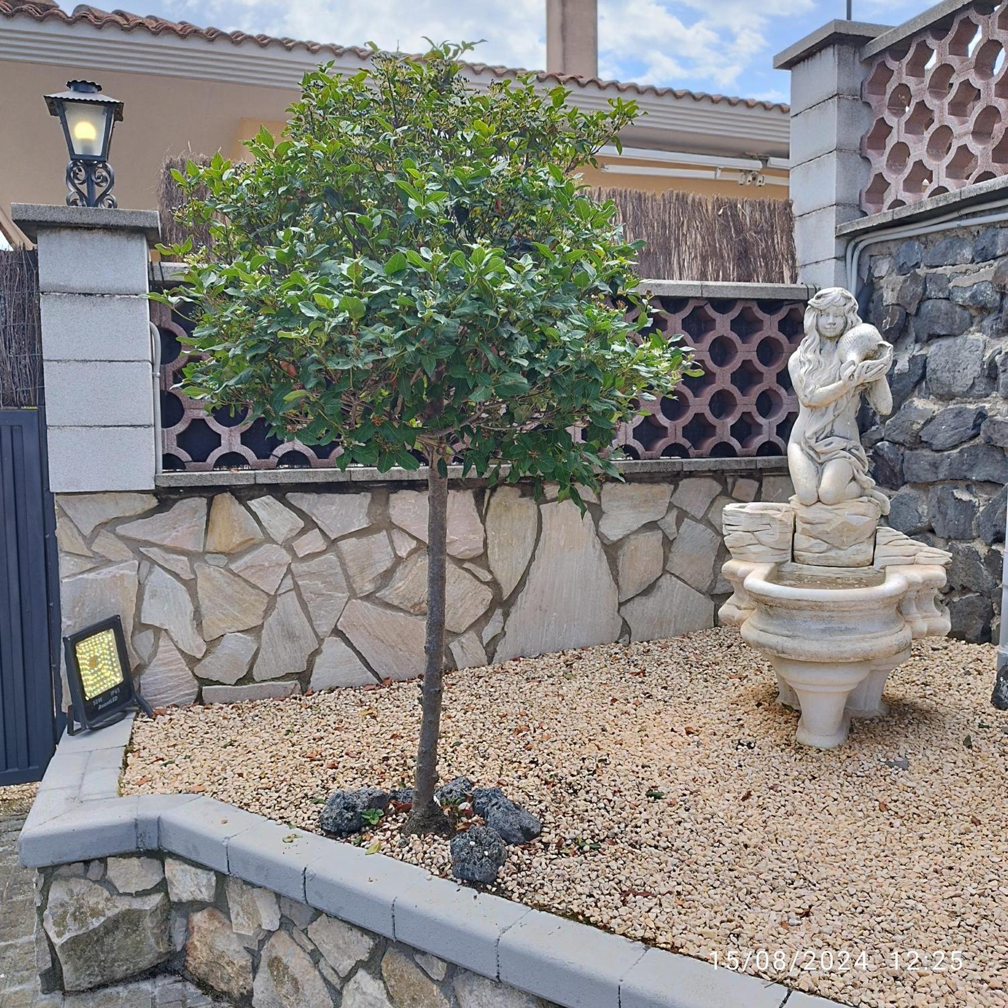 La Biznaga Villa Fogás de Tordera Exterior photo